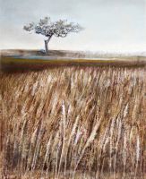 Etang de Canet, pastel sur papier,29,5 cm x39,5 cm